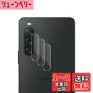 yzWigsii Ή Xperia 10 V p JtB y3z {AGCɎqfސ Xperia 10 V SO-52D / SOG11 / XQ-DC44 JیtB ^ dx9H ϏՌ σXNb` ߗ wh~ 