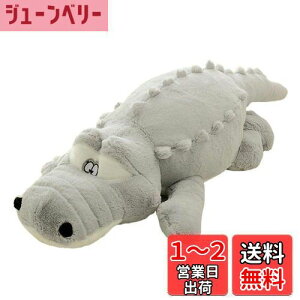 yzʂ  j/k@傫   /v[g/ӂӂʂ (160cm, O[)