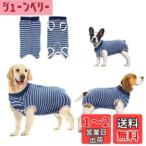 yzpEFA ̂߂̉񕜃X[c ی rߖh~ 畆ی D  sDp {^^Cv Yp (XS, Ɣ̃XgCv)