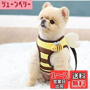 yz n[lX Ht ~co` o U  ybgpi 킢 lC ^ t H~ IV fUC ItsDog CchbO Ki WSISTERS _uVX^[Y ̃n[lX