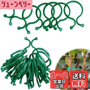 yzUNbv | Nbv AT|[gNbv xNbv oh ̐AT|[gO |p֗Nbv U T|[g ږ؂ 鐫A̗U ʕ