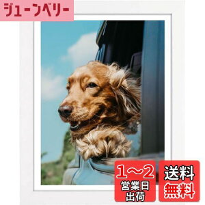 yzLEADINTOP _ChA[g tHgt[ ؐ 30 x 40 cm _ChGp ʐ^ Ǌ|  p fBXvCt[ ʐ^t[ \ |X^[ ܏z  