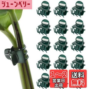 yzPAVIKE m ApNbv 50 AxNbv |Nbv ڂ؃Nbv xUNbv ϋv ͔| ėp\ K[fK[fc[ |֗Nbv |