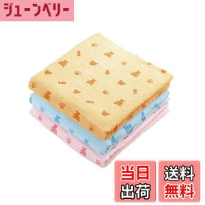 yzKosugizen oX^I poX^I N} 3Fe1 60×120cm ₷^Cv ܂Ƃ߂Ă 3Zbg ST-5808-3