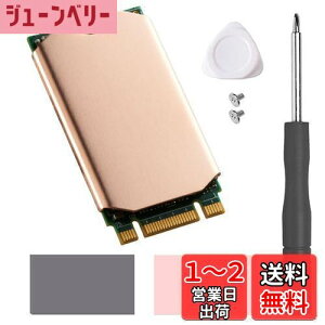 yzHaojiaho M.2 2242 NVME SSDp q[gVN  Mpbht Nvme2242 \bh Xe[g hCu WG[^[ CLbg