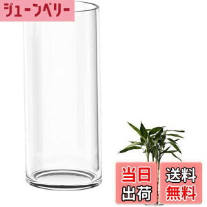 yzDARENYI KX ԕr 傫 35cmt[x[X ~ 傫  ^ ԕr NA Vv  CeA (a12cm 35cm)