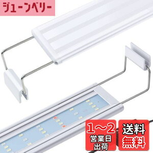yzFEDOURtXyNgƖLEDCgF^C}[t 30cm40cm60cm̍PxCgALk\ȃuPbgtA琬/ƖpvAFvX`bNP[XLED