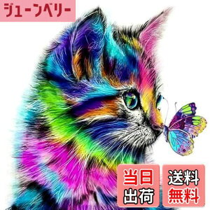 yz5d_ChA[g Lƒ 5D _Chh UCNA[g _ChyCeBO Lbg r[YG Sʓ\t^Cv r[YA[g UCNr[Y |pi 