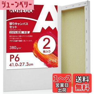 yzAUREUO LoX Zbg P6 (41cmX27.3cm)  100Rbg 2 S Gp |pGn G p ʉEGEANp