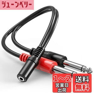 yzXeI m ϊvO 3.5mmXeI~jWbNX- 6.35mmmWvOIX×2 I[fBIϊzP[u 10cm wuernine I[fBIC^[tF[X Xs[J[ 