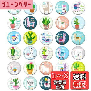 【送料無料】MORCART 30個 マグネット かわいい 冷蔵庫 ホワイトボード 磁石 装飾品 可愛いアルパカとサボテン