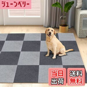 �y���������z�y�A�b�v�O���[�h�� �z �z���}�b�g �W���C���g�}�b�g �^�C���J�[�y�b�g ����Ȃ� �h�� �􂦂� �y�b�g/����҂̊���~�ߑ΍�A30*30cm 40�� �O���[�Z/��