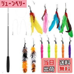 yz14 _Zbg L ColiChili L炵 VR Ĥ pH11 _t pނ莅2 ԂԂ ybgObY ˂pi