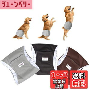 yzLuxja p}i[xg j̎q bV h Lk 3_Zbg }[LO R炵 IVbR΍ o  p(L,+O[+R[q[F)