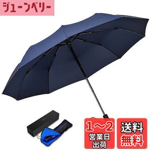 【送料無料】TAIKUU 折りたたみ傘 丈夫 軽量 大きいサイズ 12本骨 折り畳み傘 頑丈 耐風 強風に強い 折畳傘 メンズ 手動 超撥水 傘ケース付き(ブルー)