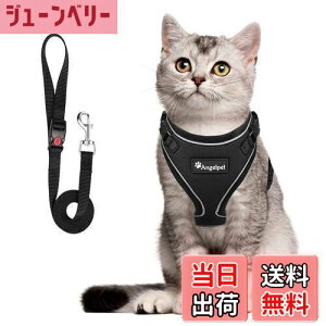 yzL Lp n[lX  L ˂ lR qL q ^ U o Ȃ xXg \tg y ʂ}WbNe[vő TCY߉ 锽 ʋCbV