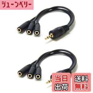 yzwuernine ~jvO P[u CzWbN I[fBIzP[u 3.5mmXeI CzXvb^[ [2{]