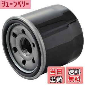 yzfCgi(Daytona) oCNp vCX ICtB^[ XYLn VXg[250 Ȃ 98734 ʂNo:F-11