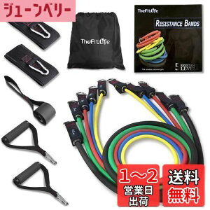 【送料無料】TheFitLife トレーニングチューブ チューブ トレーニング 筋トレチューブ (中黄/天色/紅色/中緑/墨色)