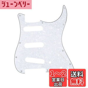 yzMusiclily 11 SSS XggsbNK[hFender USA/LVRX^_[hSTXggLX^[GLM^[pA4PzCgp[