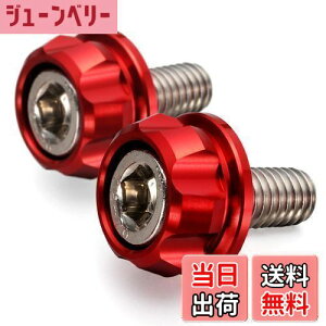 yzfCgi(Daytona) PREMIUM ZONE(v~A][) oCNp io[v[g {g M6×15mm z_[Zbg 2 bh 91945