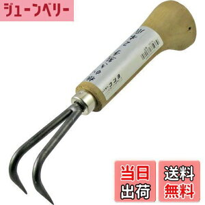 yzߗ^(KONYO) ܘY F 2{