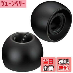 �y���������zJVC�P���E�b�h JVC EP-FX9ML-B �����p�C���[�s�[�X �X�p�C�����h�b�g 6���� ML�T�C�Y �u���b�N