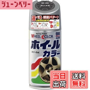 �y���������z�\�t�g99(SOFT99) 99�H�[ ��C�y�C���g �z�C�[���J���[ W43 �K�����^ 300ml W�[43 �����Ԃ̃A���~�E�S�z�C�[���y�ю������z�C�[���J�o�[ 07543