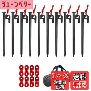 yzYOGOTO X`[yO 20cm10{Zbg LvyO egpyO yOP[Xt ^[vyO dy n np 10mm 1Nԕiۏ [P[X ݋t