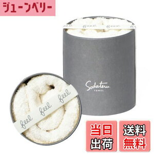 yzĂ^I feel tFCX^I 34×85cm 100 {bNX (~Xg(n))