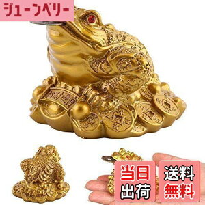 yzKingsie Or^ O{r̊^ K^  Or JG   J^ ^ ^ ɐ ObY CeA 蕨