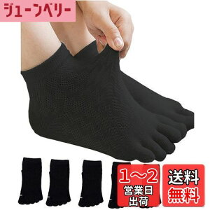 yz[InSomila] [C\~] 5{w\bNX qp ėpC XN[\bNX C bV ̎q j̎q LbY \bNX n 5Zbg  C q  ʊwp \b