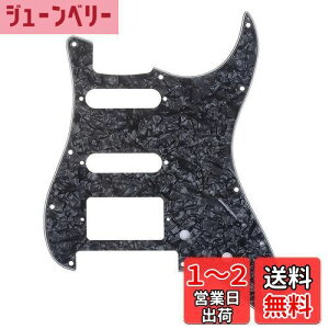 yzMusiclily Pro 11 HSS STXggsbNK[h American/LVRFender StratXggLX^[GLM^[ Floyd RoseubWJbgpA4vCubNp[