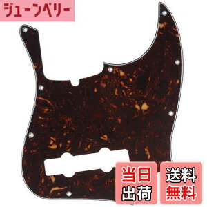 yzMusiclily Pro 10 vVWx[XPBsbNK[h5Fender American Precision BasspAꈍb4P