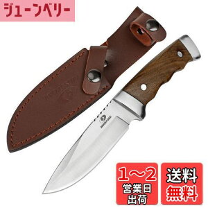 yzMOSSY OAK iCt AEghAiCt V[XiCt t^O\ S225mm VREbhnh oR Lv gbLO ނ ƒp DIYp hЗp pV[Xt
