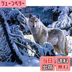 yzDIYNXXeb`Lbg_ChG5DhLbgA~̐TWOWDECORthDIY_ChA[gyCgG (T)