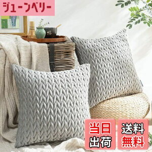 yzPhantoscope NbVJo[ xxbgv[c k 2  e͐ LeBO \t@w   n2WAY O[ 45×45cm