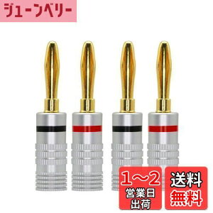 yzCERRXIAN 4mm\_[X oiivO RlN^ oiivO Xs[J[yAڑ^Cv / 24kbL/VFz lWߕ̃oiivO Xs[J[P[u Xs[