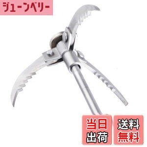 yzTRIWONDER ObvOtbNAEgh oRtbN d̓tbN AJ[tbN XeXX`[ ܂肽 tbN (Vo[ - 3)