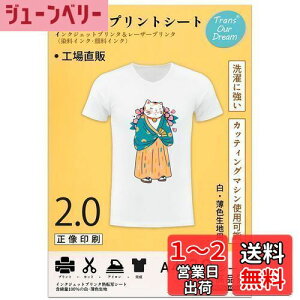 【送料無料】TransOurDream 真正の転写シート アイロンプリントシート2.0 正像印刷 白?薄色生地用 A4 20枚 プリントシート 転写紙Tシャツ転写シート 熱転写シート 洗濯に強い JP-2-20