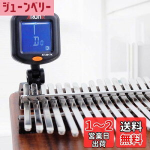 【送料無料】redcolourful 赤色 Kalimba サムピアノ Kalimba チューナー サムピアノ スペシャルチューナー 回転可能 デジタル 初心者用 サムピアノアクセサリー