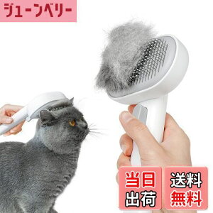 yzAEJ (Aumuca) ybgpuVuvbVvLuV puV L  ю uV }bT[W XbJ[uV ubVOuV ыʎuV Lʗp 