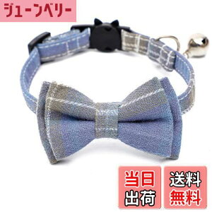 yzL t L̎  ybg  ѕt `FbN \ EȒP y S { 킢 ȃ_ ybgpANZT[ ꒅ j