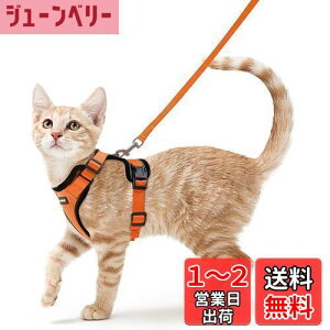 【送料無料】Rabbitgoo 猫 ハーネス リード セット 犬猫兼用 超小型犬 小型犬 抜けない ソフト胸あて 軽量 足を上げず装着完成 サイズ調節可 夜反射 通気メッシュ 咳込み防止 散歩 猫用ハーネ