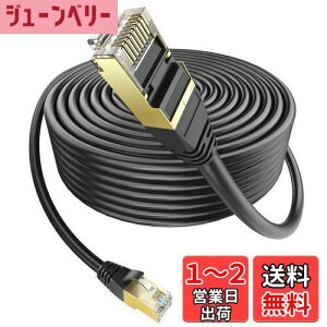 【送料無料】LANケーブル 100m 屋外用 ランケーブル PoE対応 Ankuly CAT6準拠 コネクタ付き UTP カテゴリ6 業務用(ブラック)