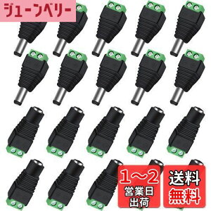 yzAroidful 20Zbg DCWbN A_v^[5.5mm x 2.1mm 10X +10IX DC 12V dA_v^RlN^ lW[qA_v^ DCdvO ϊA_v CCTVJ LEDXgbvCgp ϊv