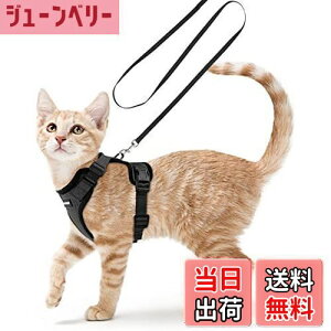 yzRabbitgoo L n[lX [h Zbg ^ Lp Ȃ ́[˂ \tg y グ TCY߉ lR U R 锽 ʋCbV Pݖh~ 