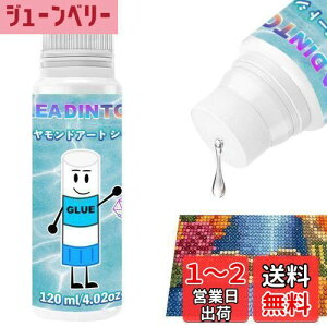 yzLEADINTOP _ChA[g V[[ dグ 120ml ڒ _ChyCg dグ̂ X|Wwbht Eh~  _ChhO[ ANZT[ iv