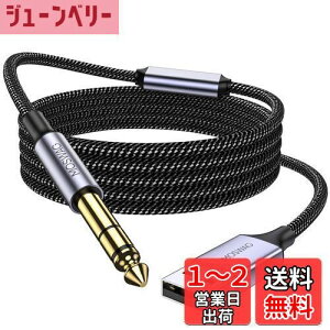 yzMOSWAGi^@\t) USB-6.35mmI[fBIP[uAUSBM^[P[uAUSB 6.35mmIXTRSXeIP[uA}CNAM^[Ax[XAXs[J[AVDv[[A~LT[AA