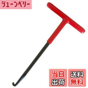 yzolH oCNpGL][XgXvOtbN }t[XvO Tnh olOH AbZu[pCv oCNi